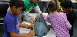 Kids in Shark Activities in Sea Camp