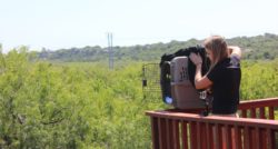 Peregrine Falcon Release Second Chances Program