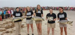 Sea Turtles Release Second Chances Program