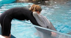 Sarah Hugs Dolphin