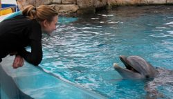 Sarah smiles with Dolphin