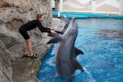Sarah with 2 Dolphins