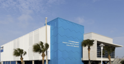 Largest Wildlife Rescue Center in Texas Now Open Image of Largest Wildlife Rescue Center in Texas Now Open