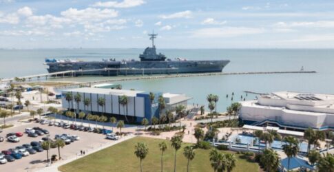 Image of Texas State Aquarium to Open the Largest Wildlife Rescue Center in Texas