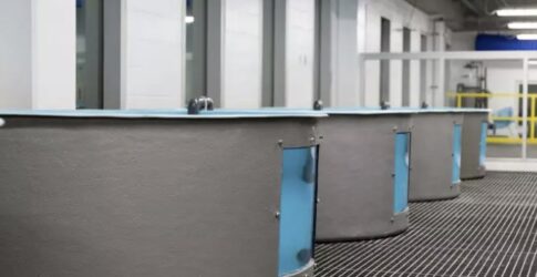 Image of High-tech rescue center at Texas State Aquarium is a marvel for wildlife lovers