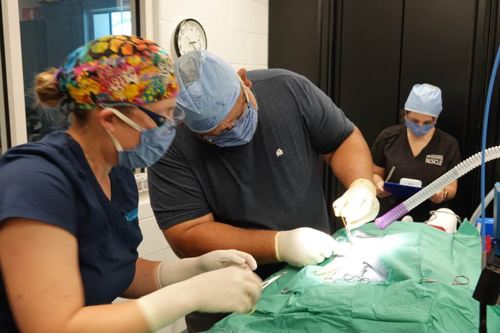 Two people in surgical attire perform a medical procedure on a patient covered with a green drape, while a third person in a mask and scrubs observes and takes notes in the background. Surgical tools are visible on the drape.