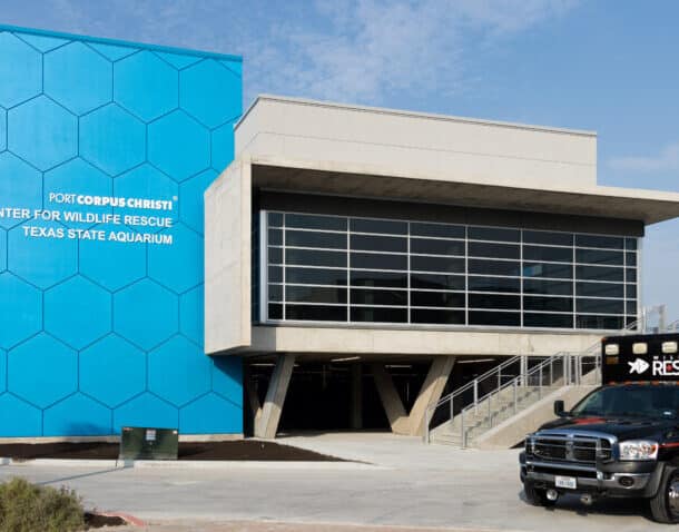 Port Corpus Christi Center for wildlife rescue
