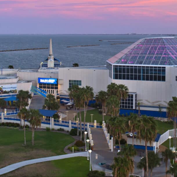 Aerial of the Texas State Aquarium