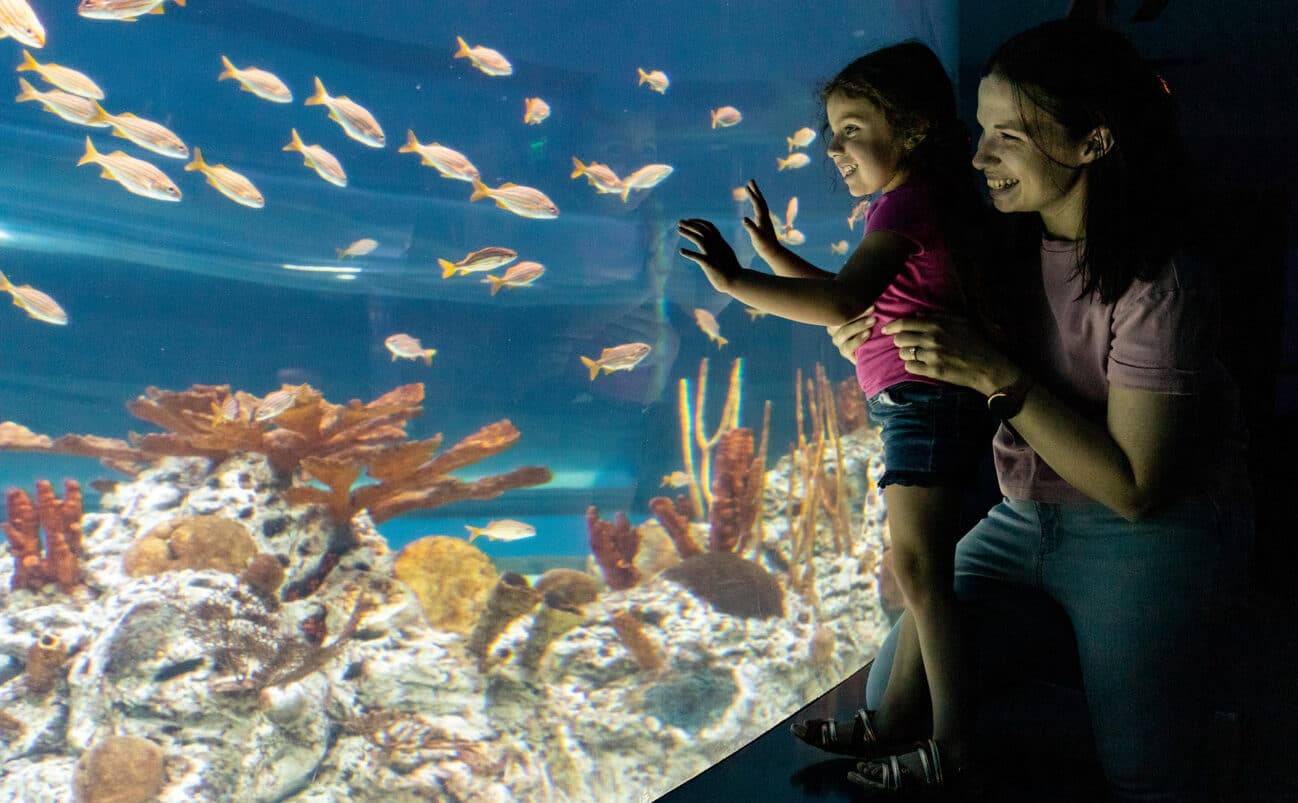 woman and child looking at fish at the Texas State Aquarium