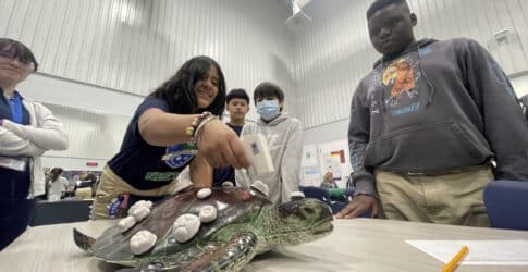 Texas State Aquarium’s Wildlife Rescue on the Road Program Embarks on Inaugural Trip… First Stop, Houston! Image of Texas State Aquarium’s Wildlife Rescue on the Road Program Embarks on Inaugural Trip… First Stop, Houston!