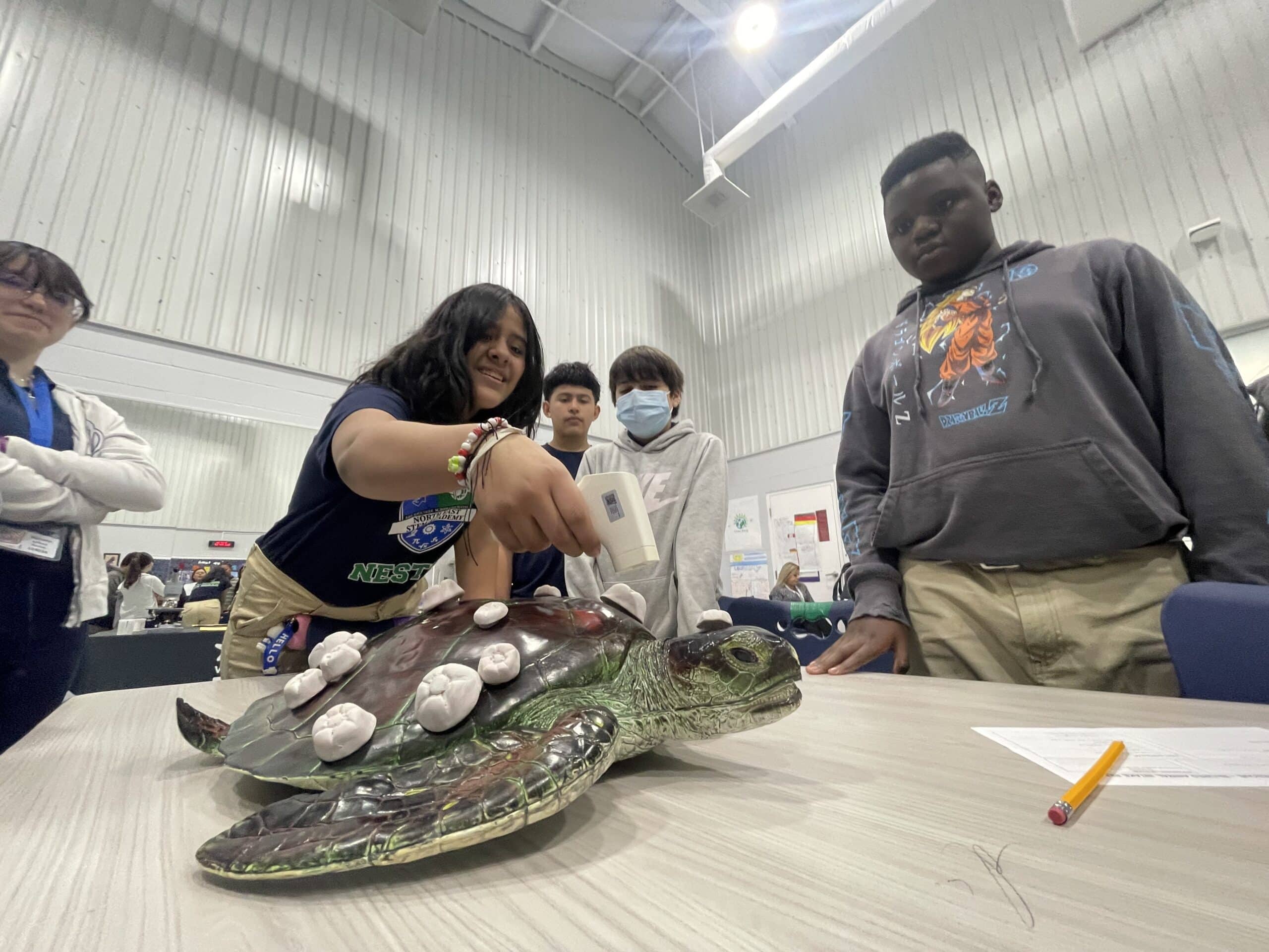 A group of students stands around a model sea turtle on a table. One student uses a device on the turtle’s shell, while others watch attentively. The scene takes place in a bright, indoor setting.