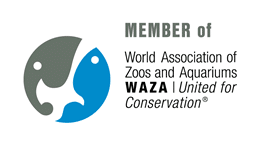 Texas State Aquarium Reports All-Time Record Economic Impact and Attendance In 2021 Image of Texas State Aquarium Reports All-Time Record Economic Impact and Attendance In 2021