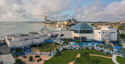 Image of Texas State Aquarium Ranked #3 in the Nation by USA TODAY’s 10Best Readers’ Choice Awards