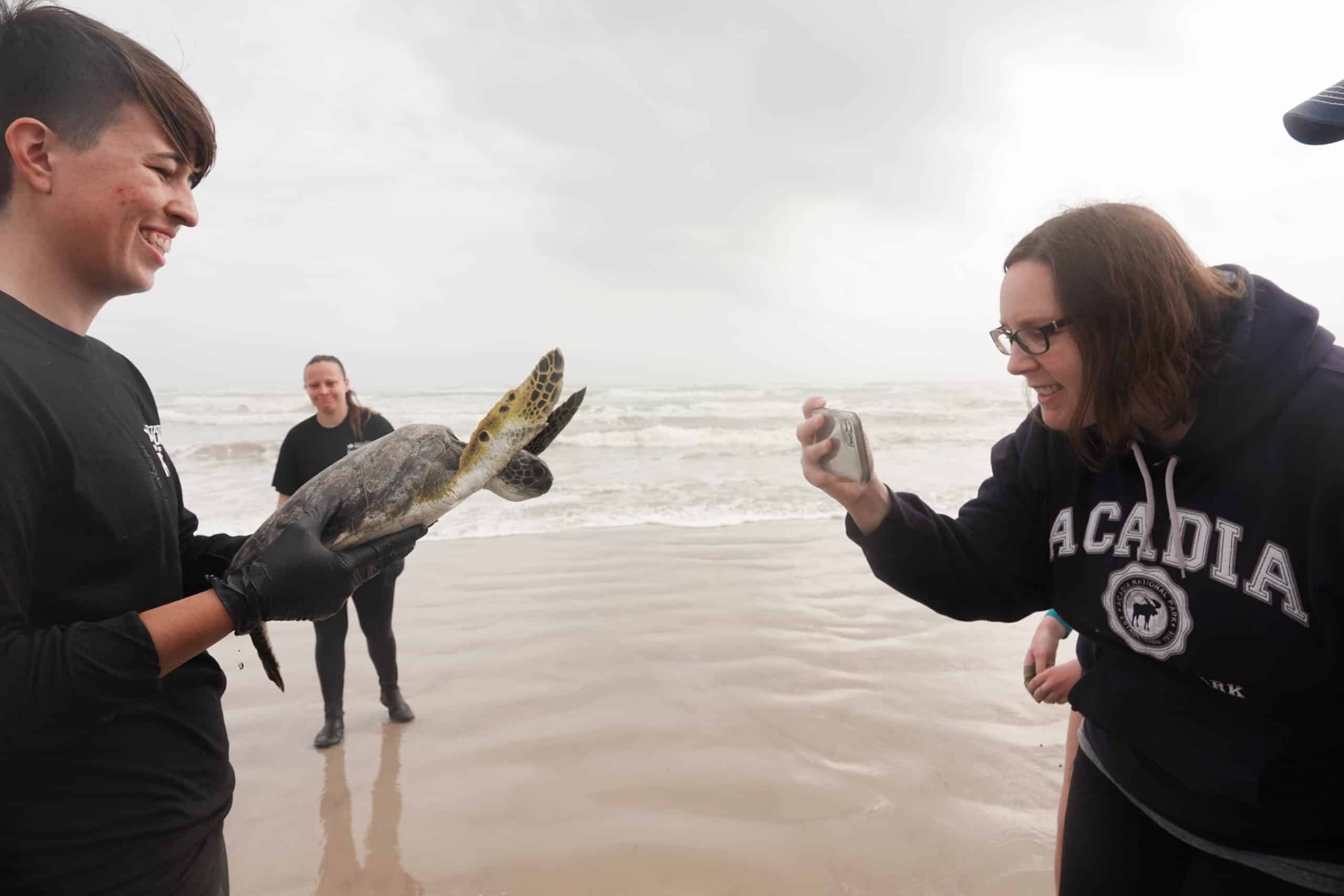 A person holding a sea turtle on a beach while another person in glasses smiles and takes a photo; two more people stand in the background near the waves on a cloudy day.