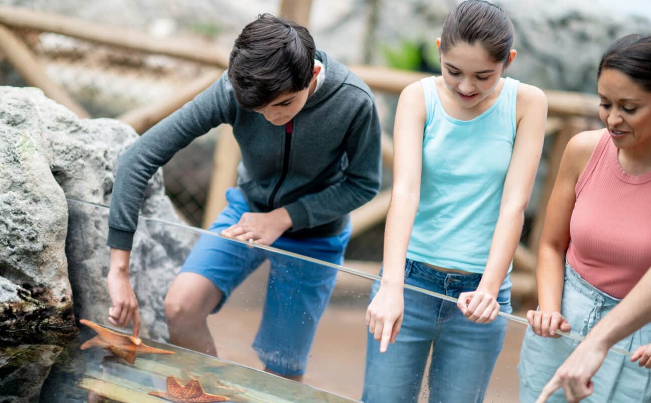 Kid touching starfish