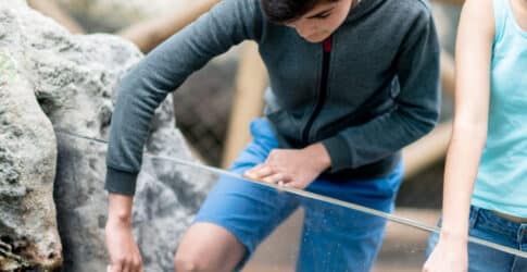 Image of Updated Hours for End-Of-Summer Fun at Texas State Aquarium