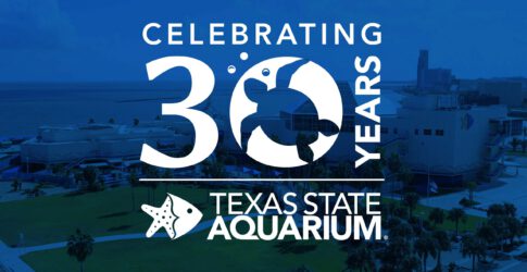 Image of Texas State Aquarium Announces Significant Losses in Operating Revenue