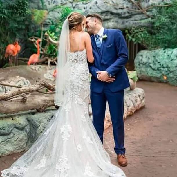 A bride in a white lace gown and veil kisses a groom in a blue suit. They stand on a path surrounded by rocks, greenery, and pink flamingos in the background.