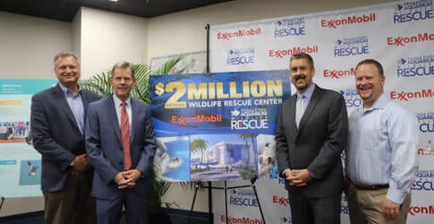 Image of ExxonMobil Foundation Announces $2 Million Gift to Texas State Aquarium Wildlife Rescue Center