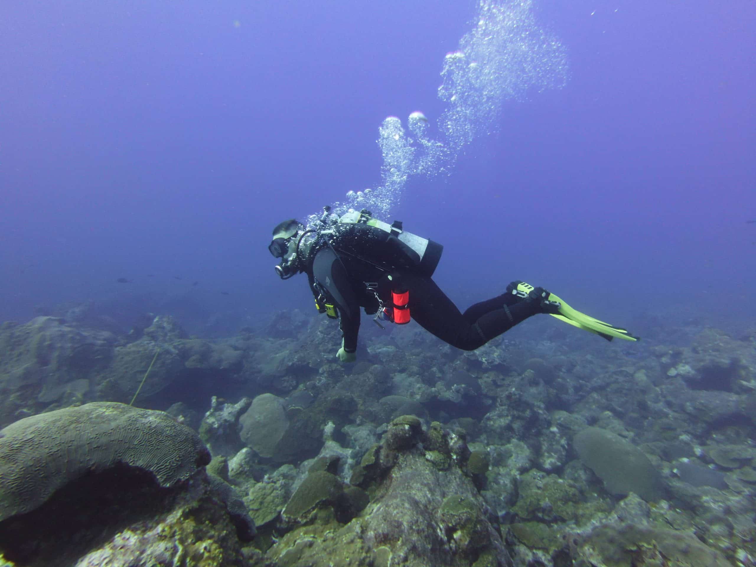 Image of Texas State Aquarium Participates in Long-Term Monitoring of FGBNMS