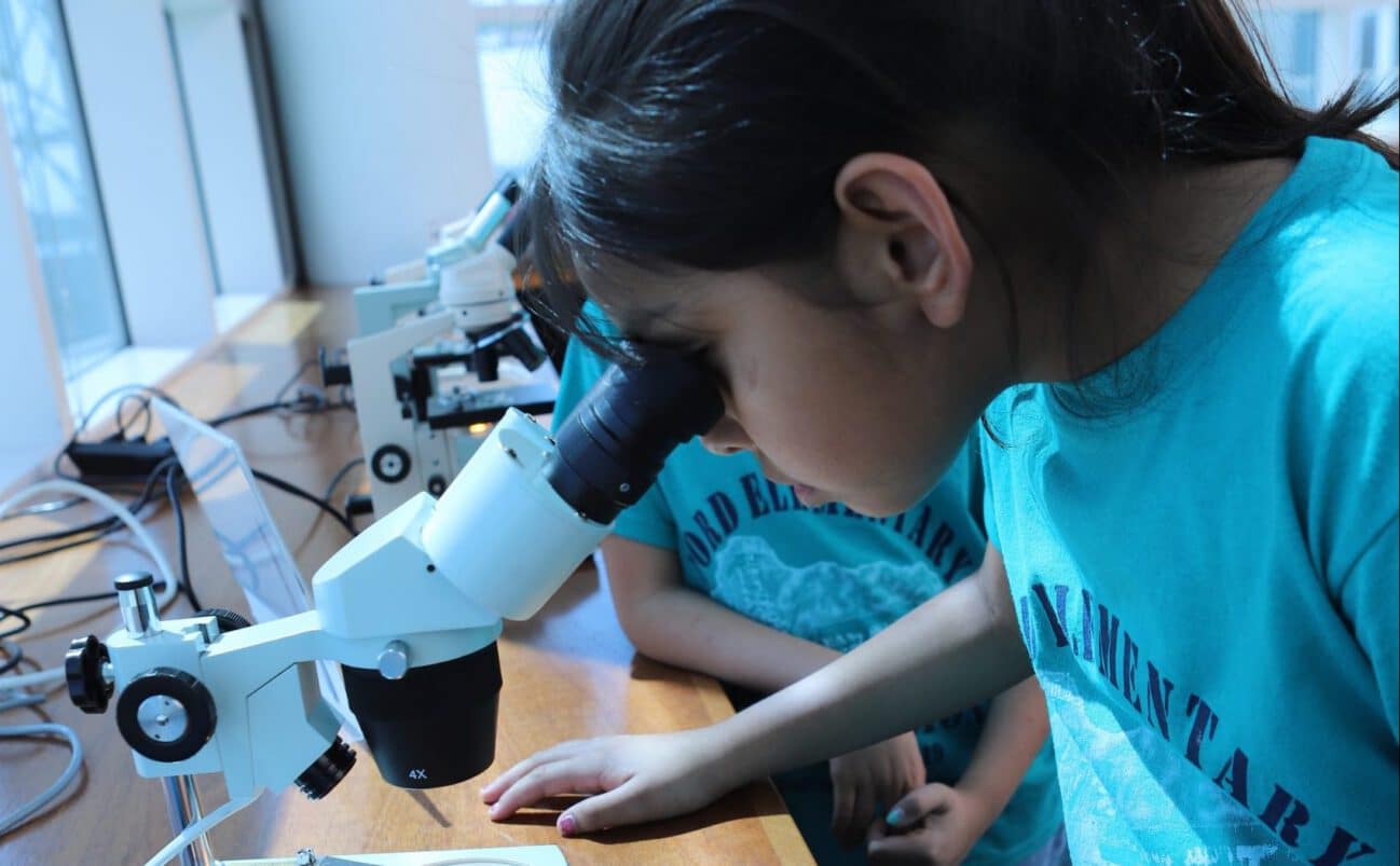 A young child wearing a blue T-shirt looks into a microscope on a wooden table, observing a specimen. Other children and microscopes are visible in the background near large windows.