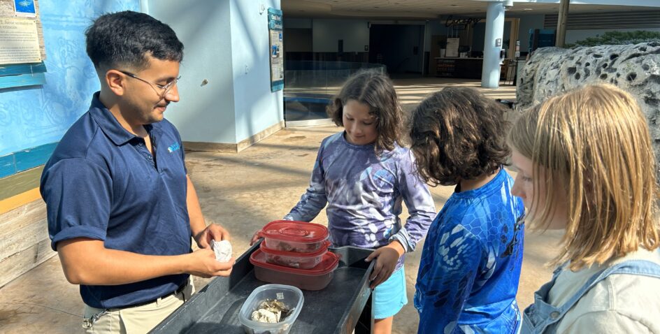 A man stands by a cart with containers, showing seashells or marine items to three children, who are gathered around and looking at the objects with interest in an indoor aquarium or museum setting.