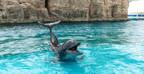 Image of Tips for a Great Visit