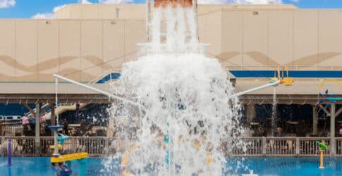 Image of Announcing New Summer Offerings Starting this Memorial Day Weekend!