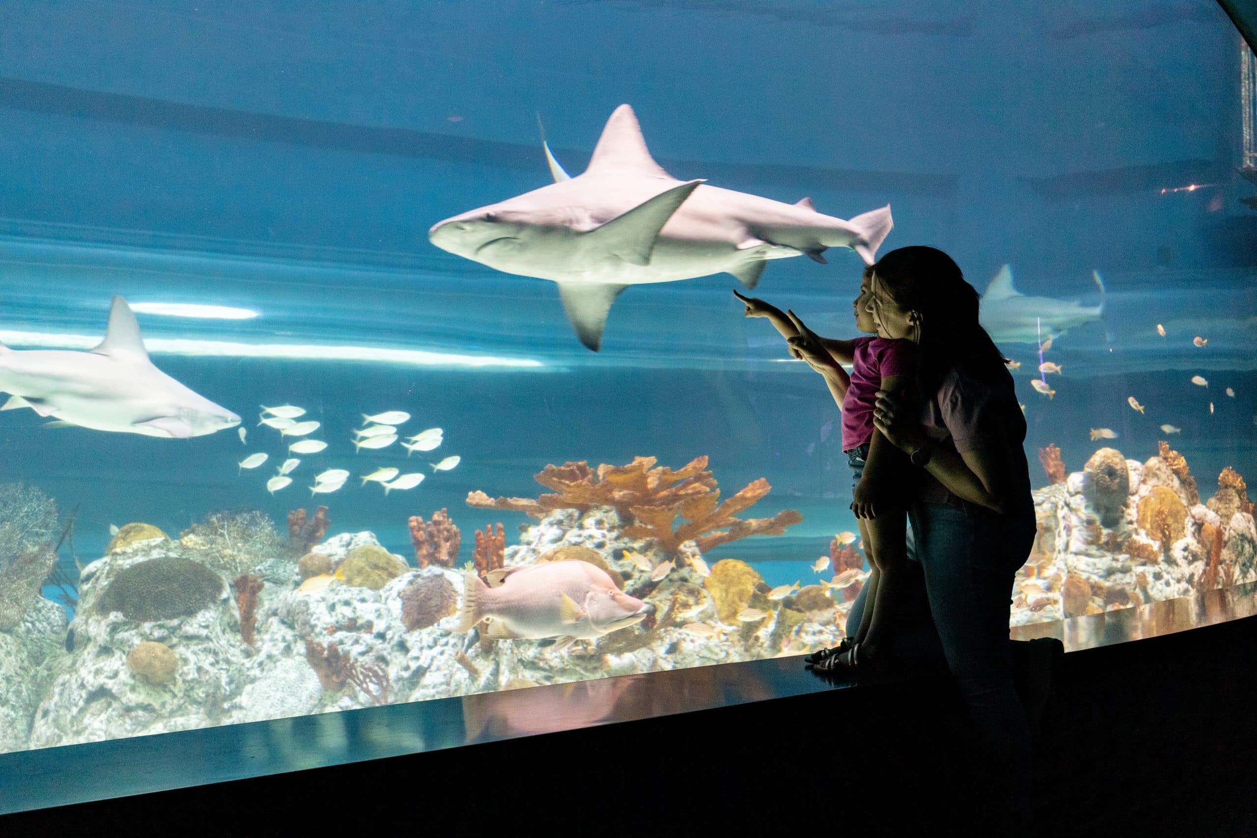 Image of Mother’s Day Gift Ideas