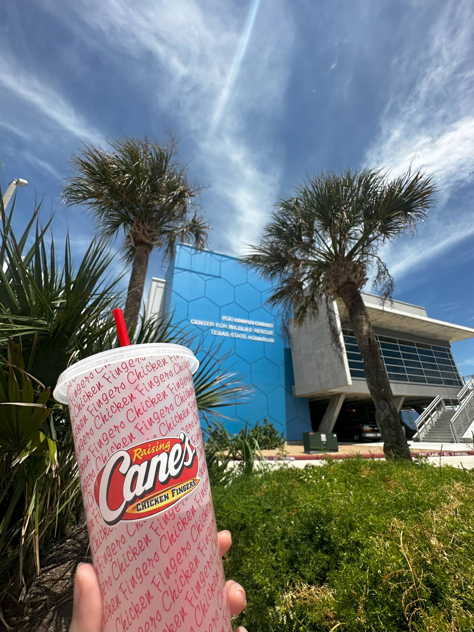 Raising Cane's cup fundraiser