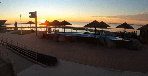 Image of Around the Clock Animal Care and Monitoring at the Texas State Aquarium