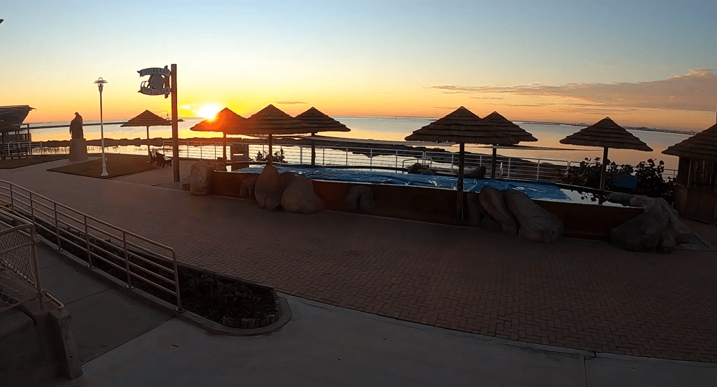 Image of Around the Clock Animal Care and Monitoring at the Texas State Aquarium