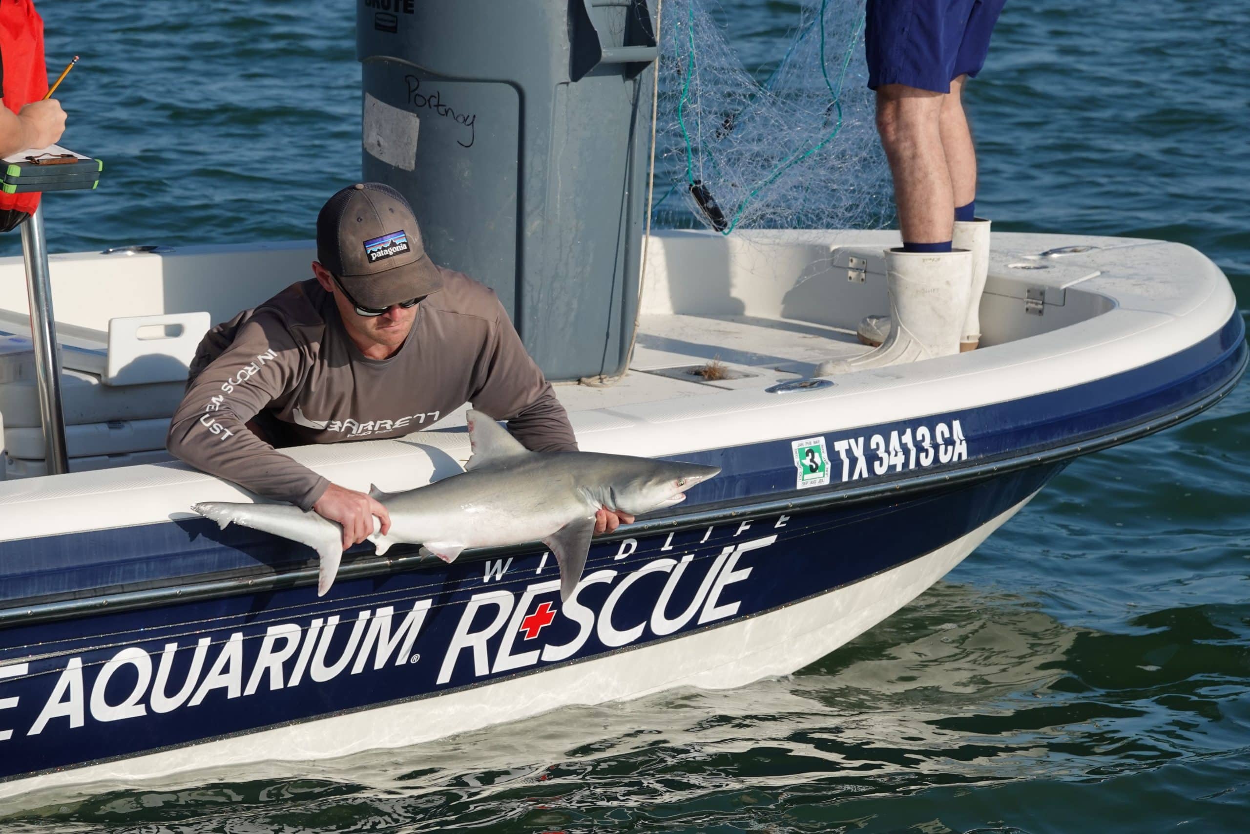 Image of Texas State Aquarium Partners with Texas A&M University-Corpus Christi to Conduct Shark Survey Aimed at Conservation Efforts