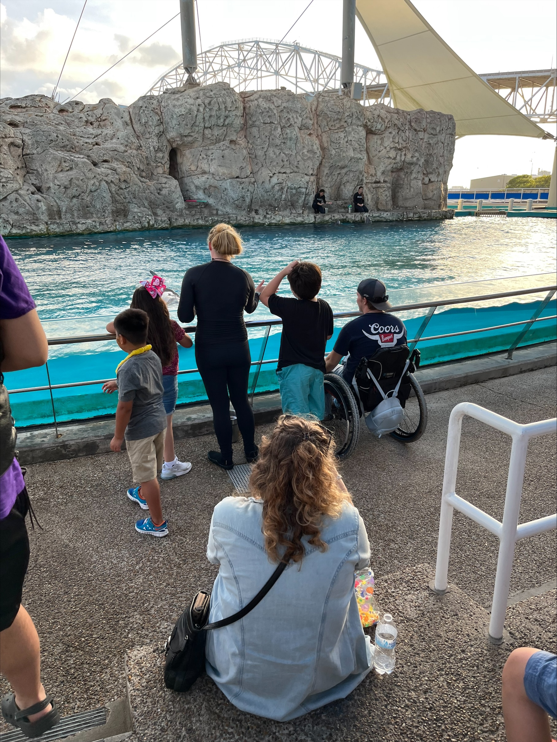 A group of people, including a child in a wheelchair, watch an aquatic show at an outdoor venue with trainers standing near large rock formations by the water. The audience is facing the pool, waiting in anticipation.