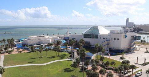 Image of Texas State Aquarium Granted Accreditation by Association of Zoos & Aquariums