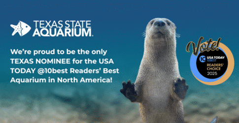 Image of We’re Nominated—Now It’s Time to Vote! USA TODAY’s 10Best Awards: Best Aquarium in North America