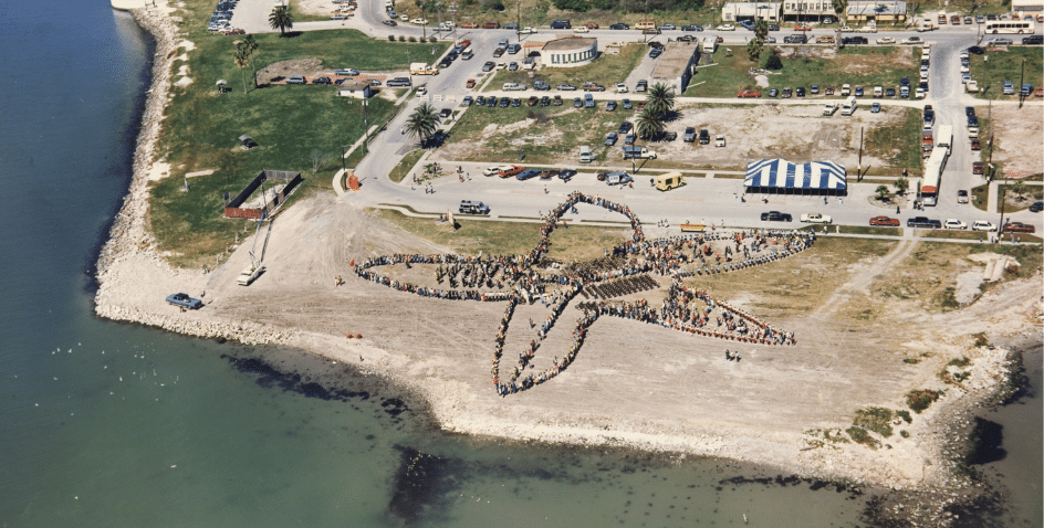 Image of Texas State Aquarium Celebrates 35 Years of Connection, Conservation, and Growth