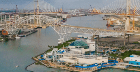 Image of Texas State Aquarium Closing Tuesday, January 21, Due to Cold Weather