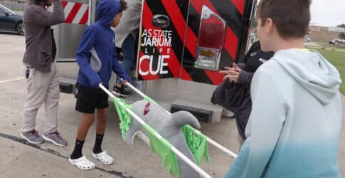 Texas State Aquarium Brings Coastal Wildlife Rescue and Education Statewide with Support from Reliant Image of Texas State Aquarium Brings Coastal Wildlife Rescue and Education Statewide with Support from Reliant