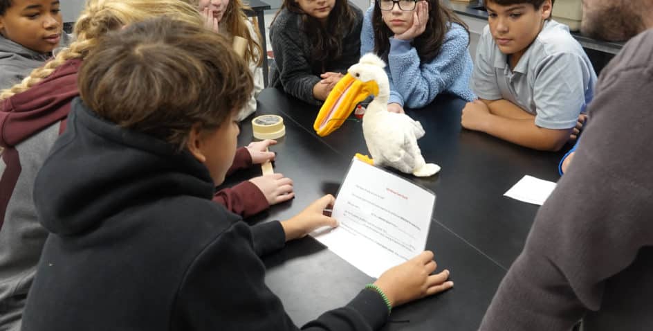 A group of students sits around a table observing a plush pelican toy. One student holds a paper with printed text, while others watch attentively and listen, showing curiosity and engagement in the classroom activity.