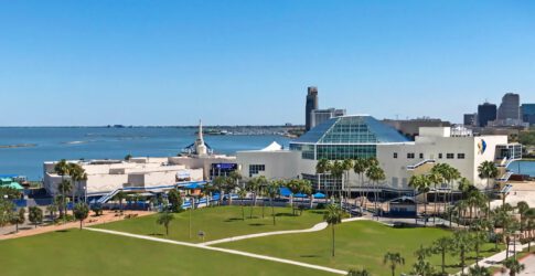 Image of Texas State Aquarium Granted Accreditation by Association of Zoos & Aquariums