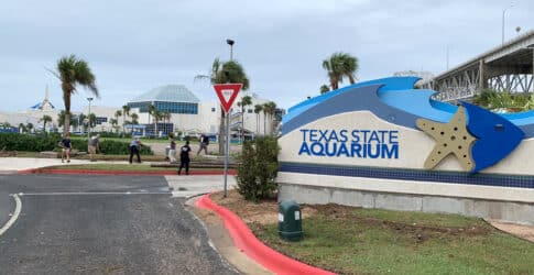 Image of Texas State Aquarium Remains Closed Due to Damage From Hurricane Hanna