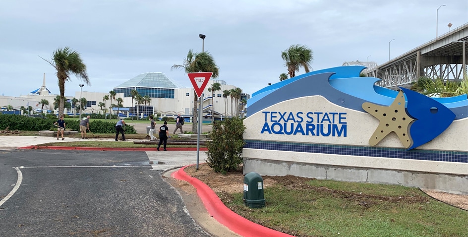 Image of Texas State Aquarium Remains Closed Due to Damage From Hurricane Hanna