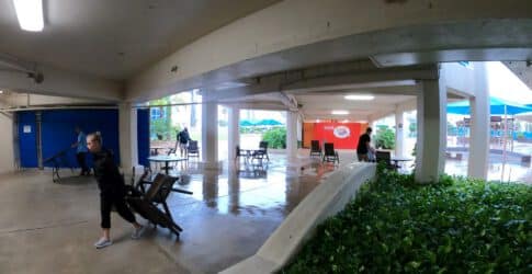 Image of Texas State Aquarium Will Be Closed Sunday, July 26  for Hurricane Cleanup