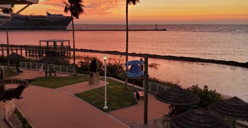 Image of Texas State Aquarium Provides Quality Animal Care After Hours