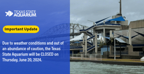 TROPICAL STORM ALBERTO Image of TROPICAL STORM ALBERTO