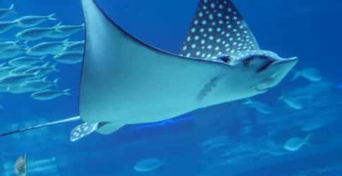 Image of 2024 March New Arrivals