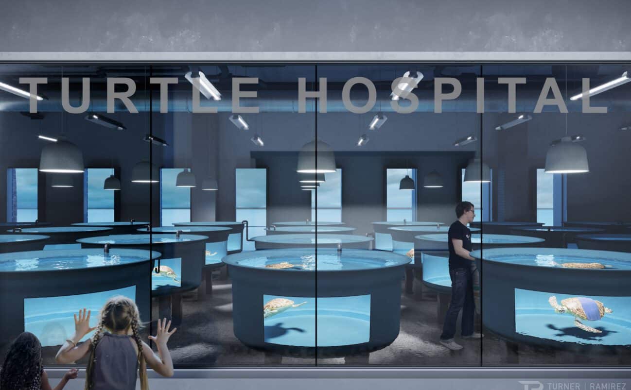 Turtle Hospital