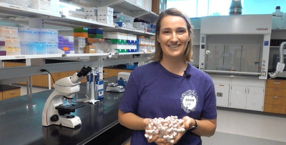 Worker holding coral