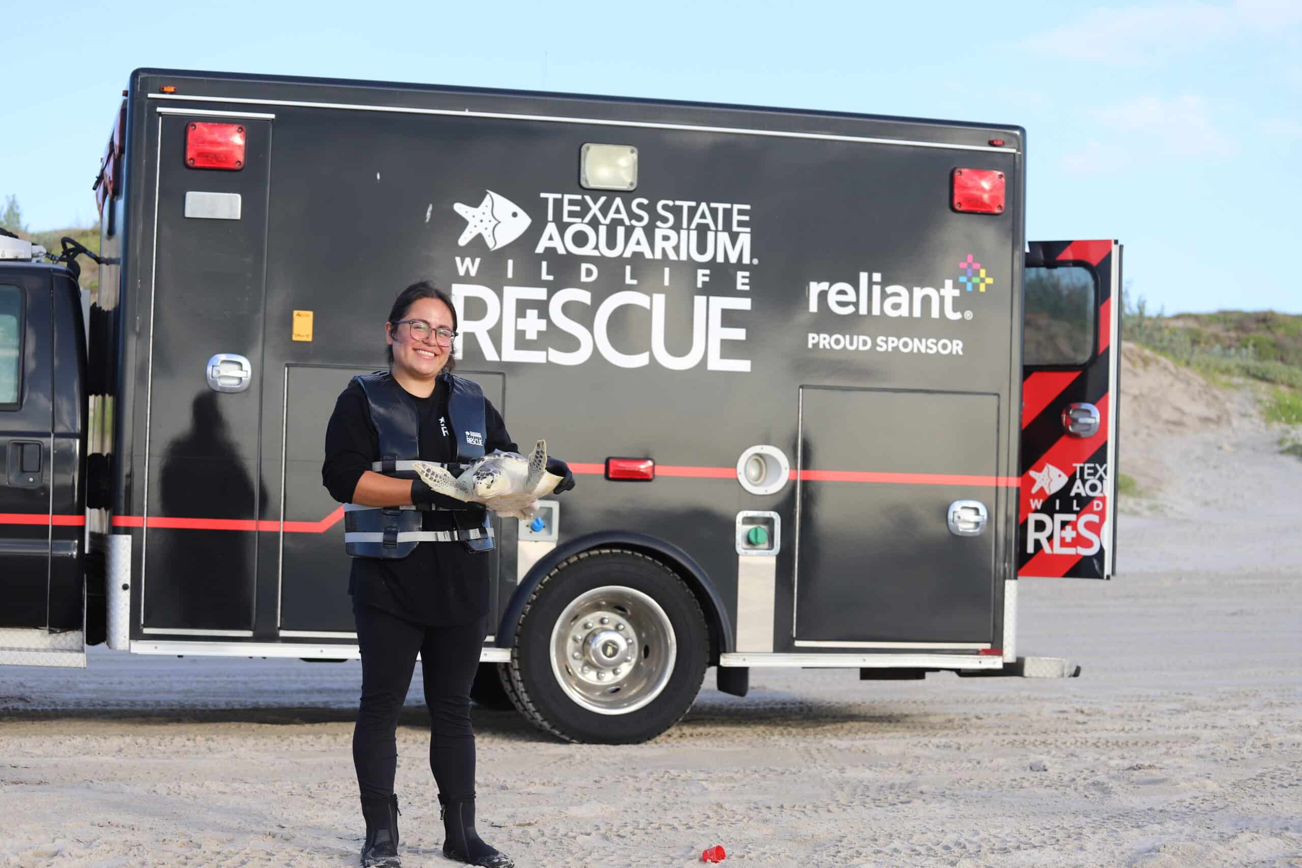 A person wearing gloves holds a sea turtle in front of a Texas State Aquarium Wildlife Rescue vehicle parked on sandy ground, with grassy dunes in the background.